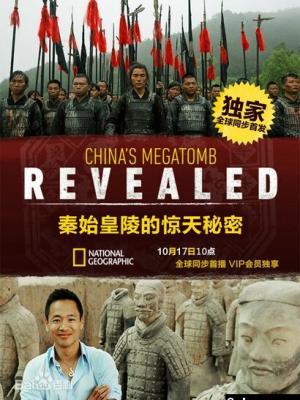 沙丘上的信号 封面